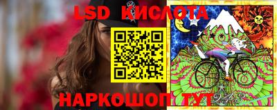 гидра Бийск