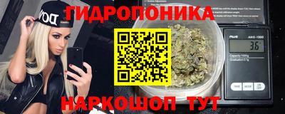 СК Балахна