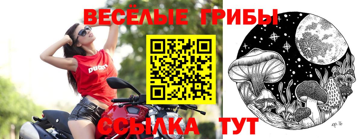 Беслан  Псилоцибиновые грибы ЛСД  Вход с VPN 